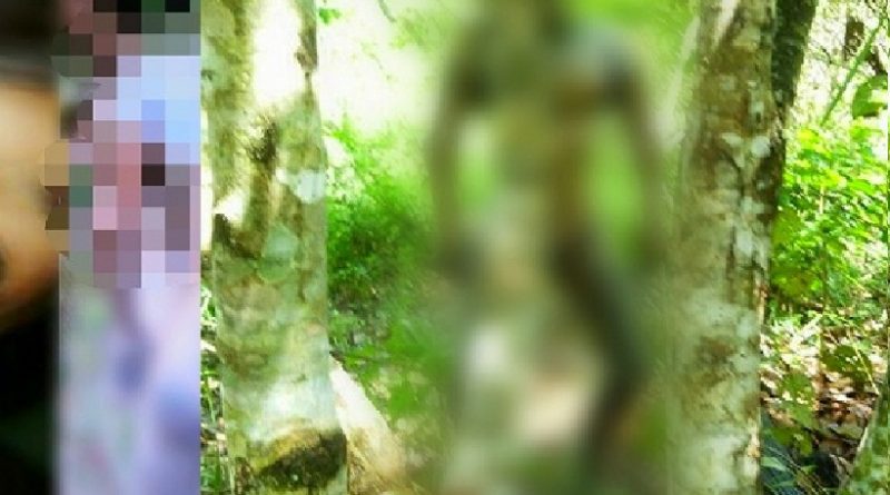 O corpo de Claudiane estava preso em entre duas arvores por uma corda amarrada em seu pescoço.(Foto:Arquivo)