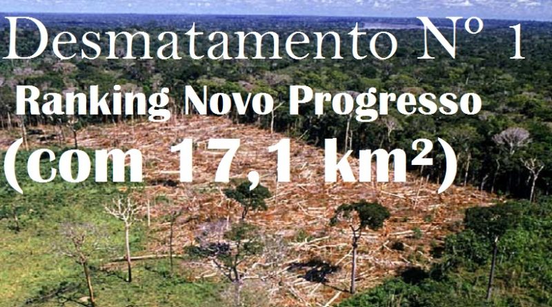 desmatamento-amazonia