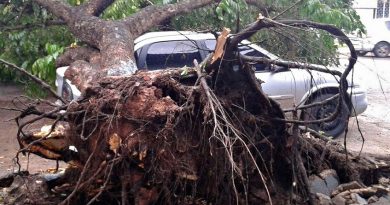 destaque-372128-vendaval-de-74-5-km-h-castiga-macapa