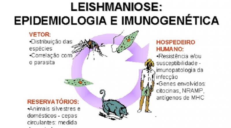 leishmaniose