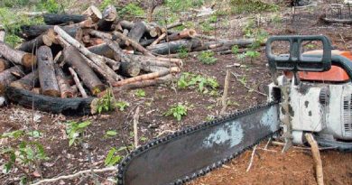 moto serra -usado para desmatamento