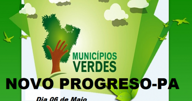 municipio verde