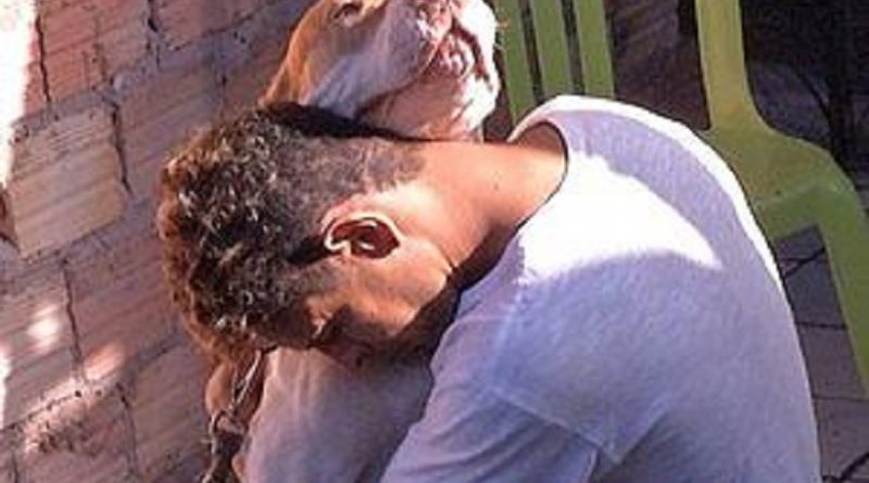 Pitbul com pai da crinaça