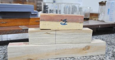 De-cima-para-baixo-acariquarana-breu-e-urucu-da-mata