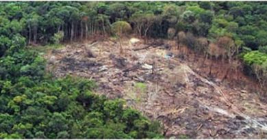 Operação-Rios-Voadores-combate-grilagem-de-terras