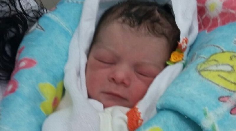 Criança encontrada em sacola foi batizada como Bruno Davi pela equipe do HMNP.