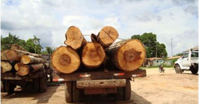 Operação-combate-transporte-ilegal-de-madeira-no-Pará