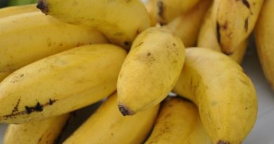 banana_foto_renata_silva_2