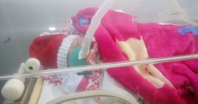 Zuila na incubadora.