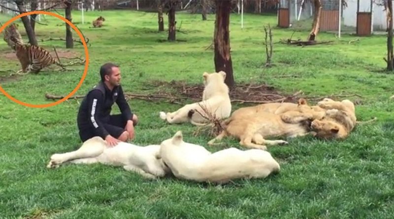 destaque-377314-ataque