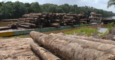 destaque-377625-madeira111