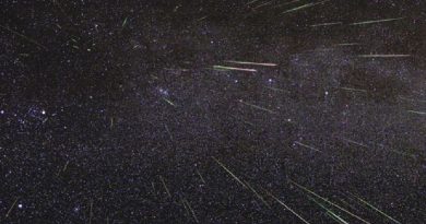 perseidas