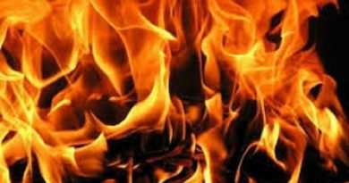 phpThumb_generated_thumbnail