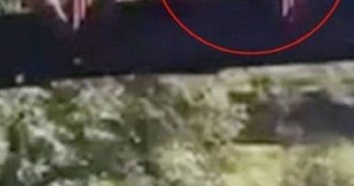 vriança arremessada