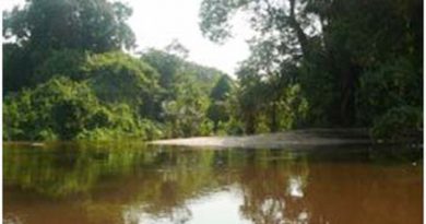 floresta-nacion-al-do-crepuri-no-para