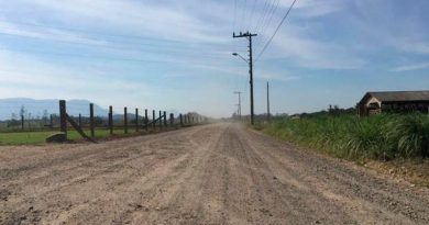 destaque-378830-estrada-corpo