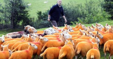 destaque-381396-eefefefqefw