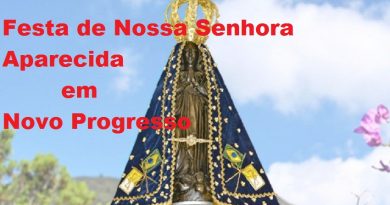 nsaparecida_vinheta1-600x419