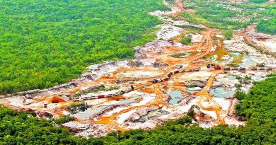 Foto: Oswaldo Forte / O Liberal