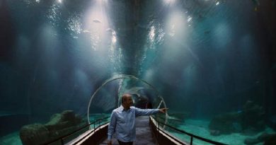 (foto: Vanderlei Almeida/AFP )