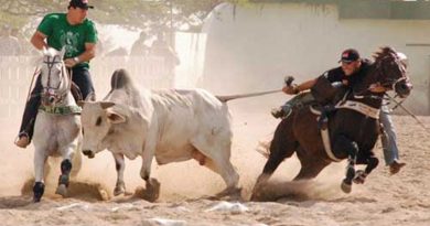 destaque-382598-vaquejada-protestos-brasil-marituba-para