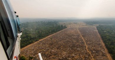 Helicóptero do IBAMA sobrevoa área desmatada ilegalmente. Fotos: Marcio Isensee e Sá