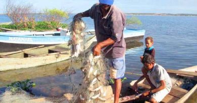 Iguatu;CE: Pescador recolhe rede com peixe, no açude Orós, na localidade de Barrocas; período de defeso suspende atividade até 30 de abril das espécies de piracema.