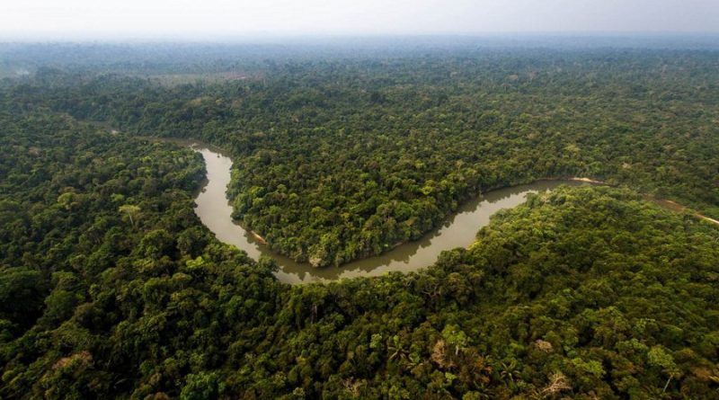A Terra Indígena Mekrãgnoti, banhada pelo rio Curuá, ocupa 5 milhões de hectares de florestas preservadas.