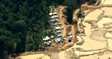 Atividade garimpeira na região das áreas citadas pelo MPF na ação (foto: ICMBio)