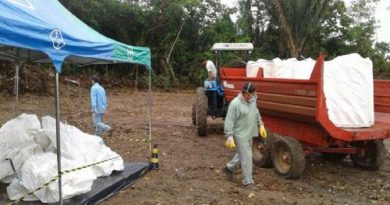 95628dd5aa5edf37b69c31dec7e1950d