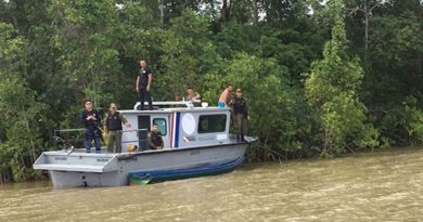 destaque-390997-rato888