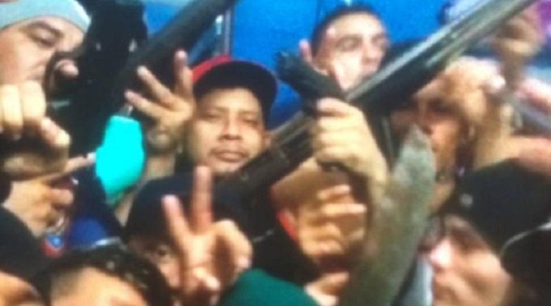 portaldoholanda-744720-imagem-foto-amazonas