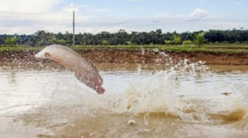 1a58a175afa0070fdf5e914df645ad1c