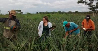 826a7ddf6f184b3cee8686f36d9957ed