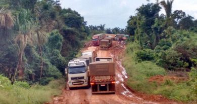 Caminhões estão parados na rodovia.