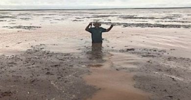 d30b63e1f1eafdbf08fef25a4fe18b2a