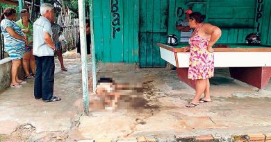 destaque-393443-reden