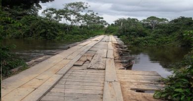 Ponte onde o caminhão caiu. (Foto WhatsApp-Jornal Folha do Progresso)