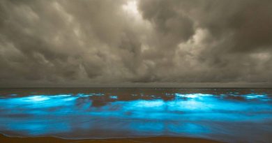 17310320_1501033066588309_278380873807379511_o_vWqvBAL