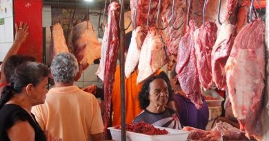 destaque-397430-carne-bovina