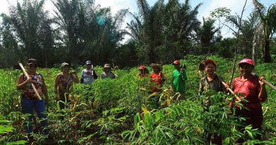 mulheres-agricultoras