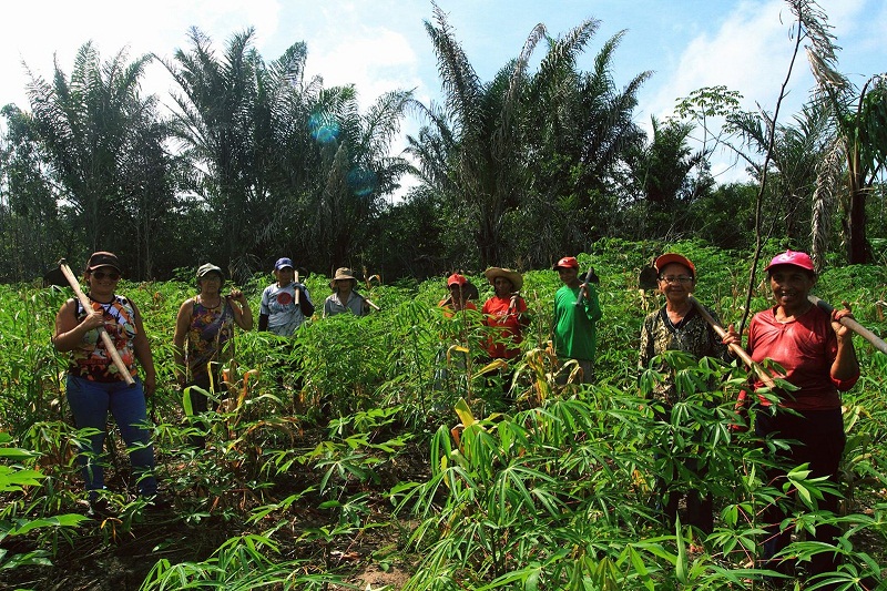 mulheres-agricultoras