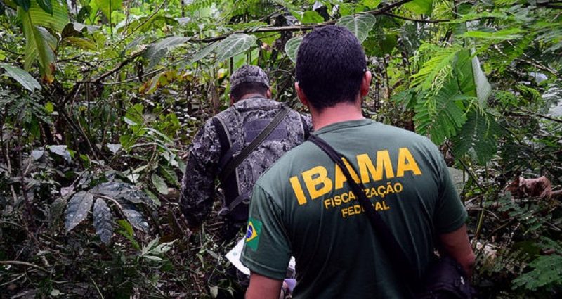 33699637602_330ae7dc0c_z