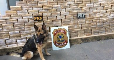 EG_aktynwfvqpd0y8du0mcqdf3lwn0y8qcqcbcqgfeg0ywd6t4b