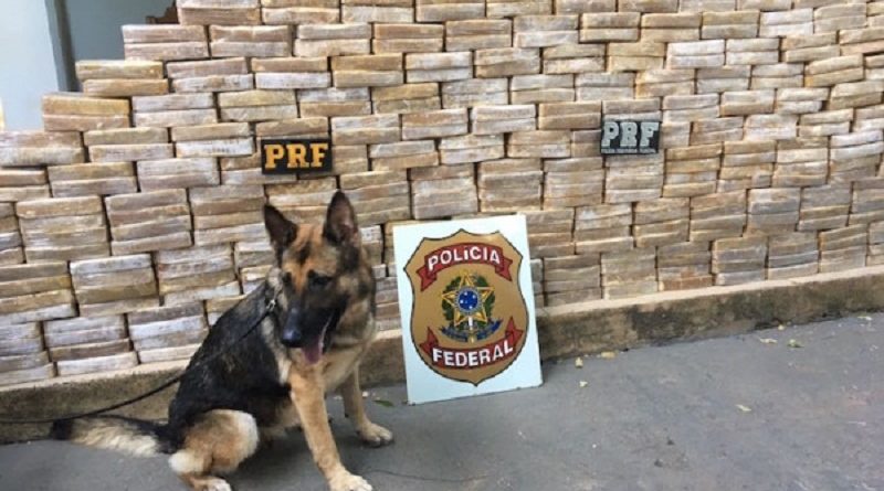 EG_aktynwfvqpd0y8du0mcqdf3lwn0y8qcqcbcqgfeg0ywd6t4b