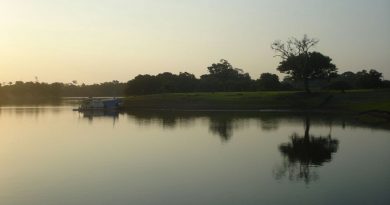 Paisagem do território quilombola de Ariramba