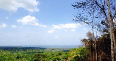 12208287_919047748189997_2965372608569170015_n