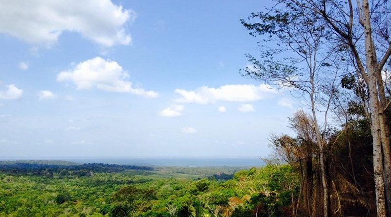 12208287_919047748189997_2965372608569170015_n