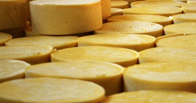 Substância presente em queijos envelhecidos pode prevenir câncer de fígado e fibrose hepática (Foto: Samantha Silva / G1)