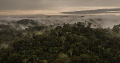 ITAITUBA, PARÁ, BRASIL, 02-06-2017: Equipe de elite do IBAMA faz operação contra garimpo na comunidade Aruri que serve como base de abastecimento a garimpeiros da região. (Foto: Avener Prado/Folhapress, COTIDIANO) Código do Fotógrafo: 20516 ***EXCLUSIVO FOLHA***